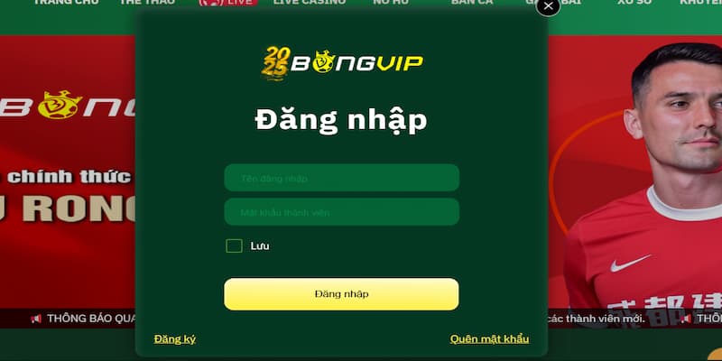 Bongvip